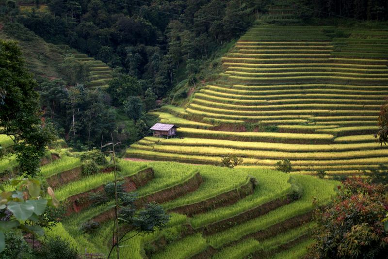 thoi-diem-tot-nhat-de-den-tham-sapa-6